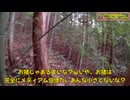 (再来したレジェンダリー）変態忍者の、有害鳥獣駆除従事活動記・その３４６