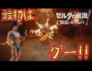 念は使えないけど、岩は割れる【ゼルダの伝説 知恵のかりもの】　＃１８