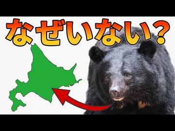 北海道にツキノワグマがいない理由【解説動画】