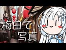 【 フォトウォーク祭2025 】雪さんのナレーショで見るフォトウォーク（梅田周辺）