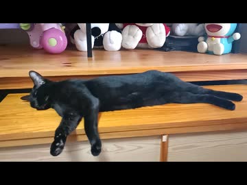 のびきってるこま