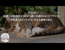 にゃんこ大戦争のステージを”丁寧に”解説　古代の呪い編