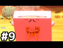 【実況】闇か光かスターリーワールド #9【星のカービィ ディスカバリー】
