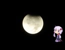 月と虫の音と結月ゆかり