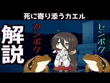 【VOICEVOX怪異解説】センポク、カンポク【中国うさぎ】