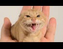 ホモと見る手のひらサイズの猫