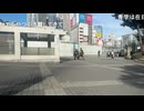 かつき「めじろうは朝から寝てるだけだよ！」