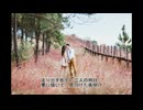 【アコギ弾き語り：歌ってみた】幸せな結末/ 大瀧詠一 feat. 西門レノン