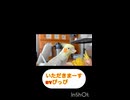 リスナーさんご馳走さまでした