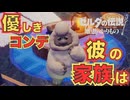 兄ちゃんの行方が気になる【ゼルダの伝説 知恵のかりもの】　＃１９