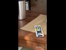 おやすみの一コマ