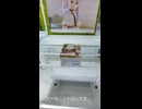 【クレーンゲーム】葬送のフリーレン　Desktop Cute フィギュア　フリーレン～トランクver.～を狙ってみた。【タイトーステーション】