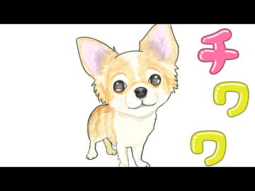 ＴＩ・ＷＡ・ＷＡ/短いBGM屋さん feat.弦巻マキ