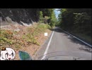 山梨林道めぐり　よんじゅう　～大明神線編～