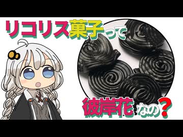 【ゆかりさん教えて！】リコリスのお菓子は彼岸花なの？