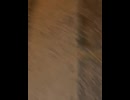 78032923860__0A59CD8B-5E78-4E52-94E2-50AA9BD49190