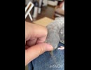 まったりなんだかバタバタなんだか□