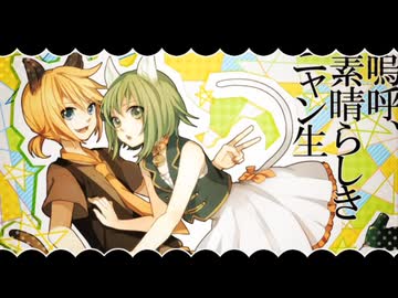 嗚呼、素晴らしきニャン生/Fate テラストリアス□