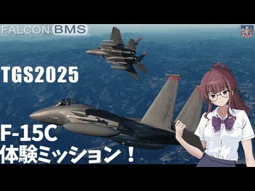 【FalconBMS】TGS025でリアルなF-15Cシムを操縦してみよう！