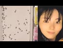 ホモと見る３万匹のゴキブリと暮らす汚部屋系TikToker