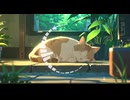 Lo-Fi BGM｜Traces of tears that blur｜滲む涙の軌跡