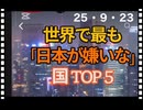 25・9・24  日本人ですら正しい歴史認識を持ち合わせていないのだからしょうがない。　寄るな　触るな　近づくな。嫌いな人に　近づこうとも思いません。