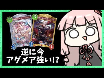 逆に今アグロナイトメアが強い説！ウィッチとビショップを許さない！！【シャドバWB】