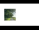 だいあり / 重音テト