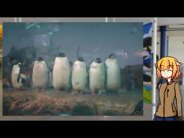 おねちゃんOИ Theチェコバイク その39