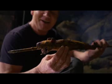 次はどの子かな.mp4