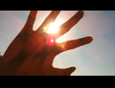 【フレル】歌ってみた ver.舞毛