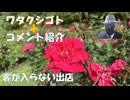 ブルームバーグダイヤモンドオンラインまだワクチン推進してるしコメント欄ないし！山上被告裁判：裁判開始はないのでは？山上の自死に見せかけて！←コメ【アラ還・読書中毒】私事：出店に客が全然入らず気の毒
