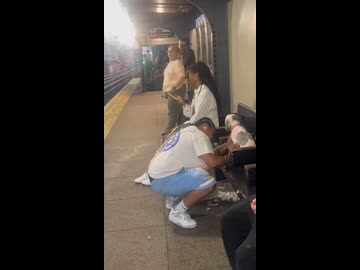 ホモと見る駅で犬をトリミングする黒人