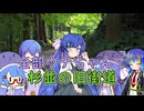 全部ウナちゃんで杉並の旧街道