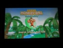 【海外アーケードゲーム】SUPER MONKEY BALL TICKET BLITZ