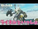 【ゼルダの伝説BotW】初めてのブレワイ！折れない心で未知の世界へ！#89【実況】