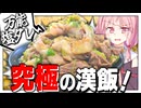 【ドカ盛り】飢えた茜さんを一瞬で黙らせられる最強ネギ塩豚丼の作り方！【VOICEROIDキッチン＋生声】