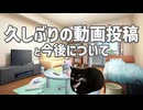 雑談と今後の更新について【猫ミーム】