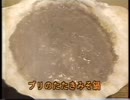 ホモと見る能登半島の郷土料理