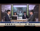 第34期 竜星戦 本戦Fブロック 10回戦 許 家元九段 vs 平田智也八段