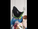 JR根室本線〔西和田駅・根室駅（花咲線）〕の鉄道事故・人身事故・電車と人がぶつかる接触事故・列車と車と人の衝突事故・列車死亡事故・踏切や駅のホームで電車にはねられ死亡事故0祈願