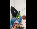 JR宗谷本線〔剣淵駅・士別駅・多寄駅〕の鉄道事故・人身事故・電車と人がぶつかる接触事故・列車と車と人の衝突事故・列車死亡事故・踏切や駅のホームで電車にはねられ死亡事故0祈願