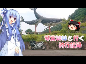琴葉姉妹と行く釣行記録（車載編part36 59）
