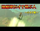 雷龍無敵バグ･ブレワイ伝承図は修正されたかなど小ネタ集【ティアキン TotK】裏技 バグ 検証 ゆっくり実況 glitch