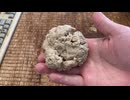 グルテン100%うどん作ってみた