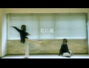 【まみた】花に風 踊ってみた【踊コレ2025秋】