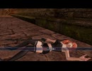 【ファイアーエムブレム無双】【リョナ】【セリカ】 ペガサスナイトにやられるだけPart５０