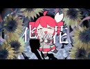 化かの花