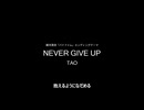 NEVER GIVE UP / TAO