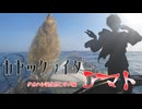 カヤックライダーアマト　タカハシ誕生祭ヒラメ編